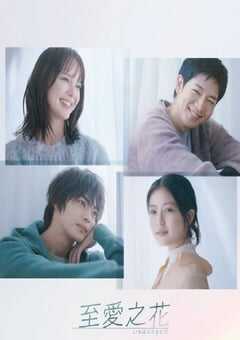 2023年日本电视剧《最喜欢的花》全11集 4K网盘迅雷下载