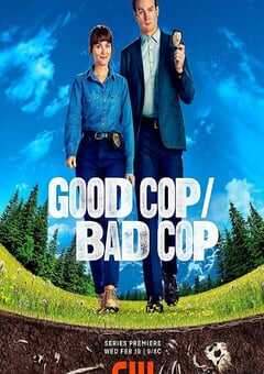 好警察/坏警察