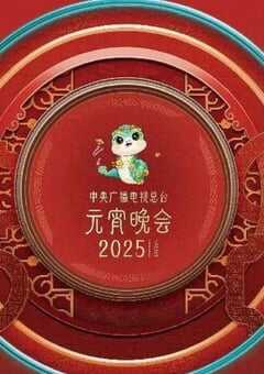 2025央视元宵晚会