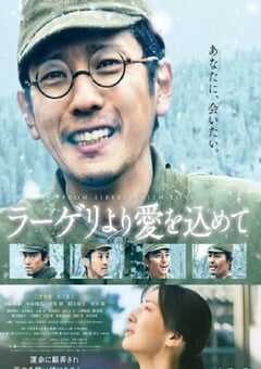 来自收容所的爱