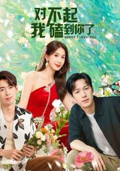 对不起，我磕到你了