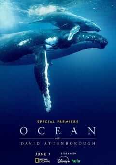 大卫·爱登堡：海洋