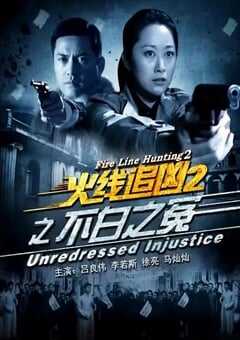 火线追凶2之不白之冤