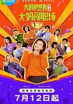 大妈的世界3：大妈闯职场