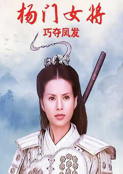 杨门女将之巧夺凤发