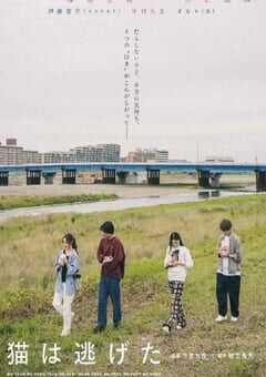 猫猫逃走了