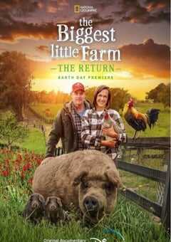 最大的小小农场：回归