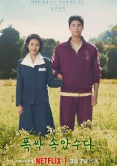 苦尽柑来遇见你