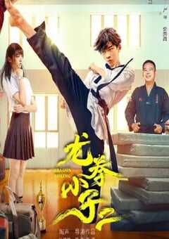 龙拳小子2