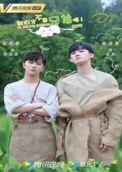 我们才不是兄弟呢 第2季