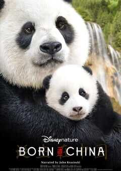 我们诞生在中国