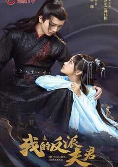 我的反派夫君