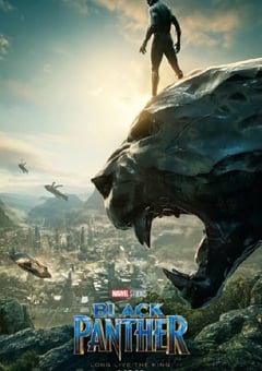 2018年美国经典动作科幻片《黑豹》蓝光国英双语双字 4K网盘迅雷下载