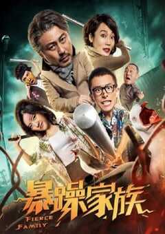 暴躁家族