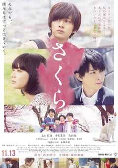 2020年日本6.7分剧情家庭片《樱》BD日语中字 4K网盘迅雷下载