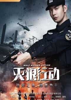 灭狼行动