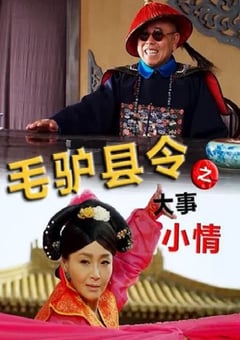 毛驴县令之大事小情