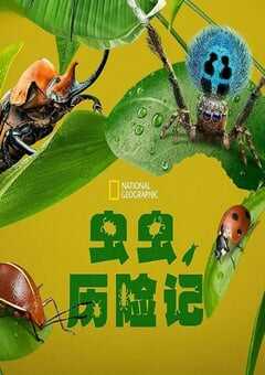 虫虫历险记