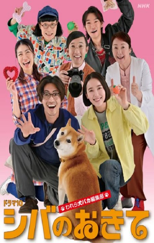 柴犬的规矩～我们这群狗痴编辑部～