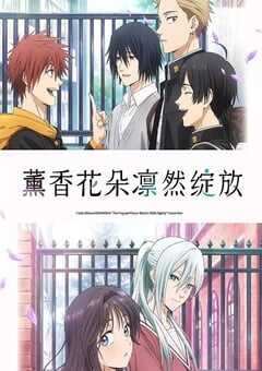 薰香花朵凛然绽放