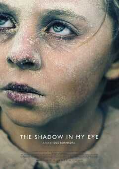 我眼中的阴影