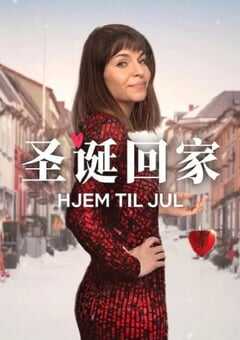 2025年挪威电视剧《圣诞寻伴 第3季》全8集 4K网盘迅雷下载
