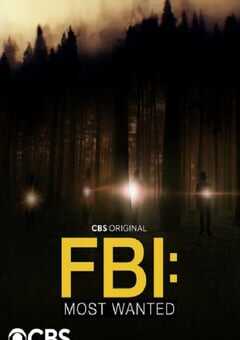 2022年美国电视剧《联邦调查局：通缉要犯第四季》全22集 4K网盘迅雷下载