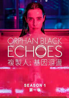 黑色孤儿：回响