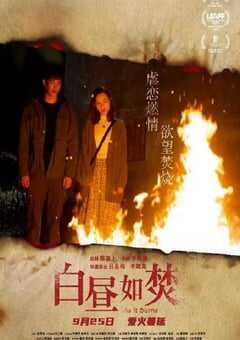 2023年中国香港剧情片《白昼如焚》BD国粤双语中字 4K网盘迅雷下载
