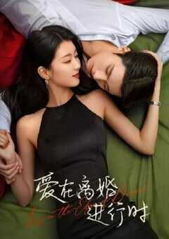 爱在离婚进行时