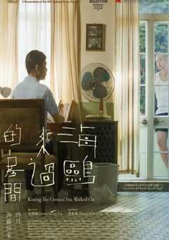 海鸥来过的房间