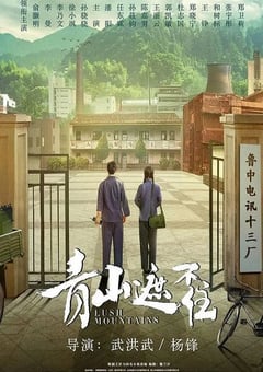 2021年国产大陆电视剧《青山遮不住》全38 4K网盘迅雷下载