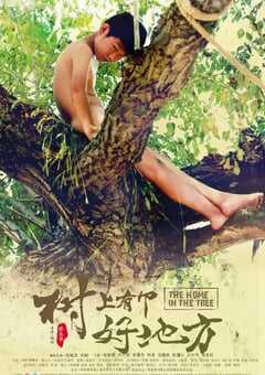 树上有个好地方