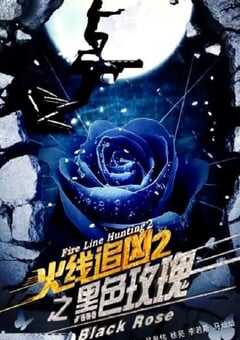 火线追凶2之黑色玫瑰