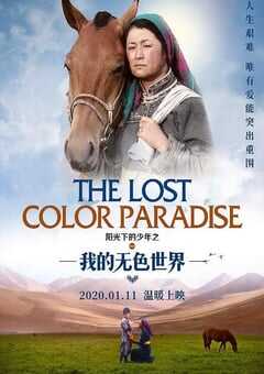 2020年国产剧情片《阳光下的少年之我的无色世界》HD国语中字 4K网盘迅雷下载