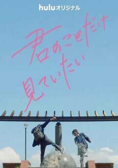 2022年日本电视剧《只想看着你》全4集 4K网盘迅雷下载