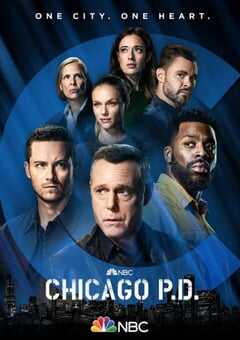 芝加哥警署 第九季