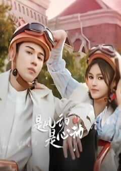 是风动、是心动