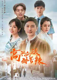 2020年国产大陆电视剧《高兴的酸甜苦辣》全40集 4K网盘迅雷下载