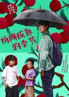 杨梅成熟的季节