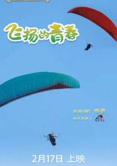 飞扬的青春