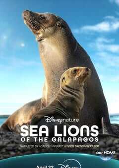 海狮利奥环岛记