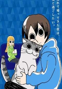 关于养猫我一直是新手