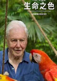 生命之色