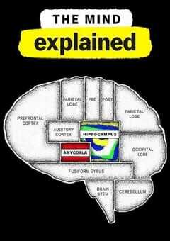 头脑解密 第二季