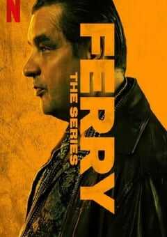 卧底费瑞的故事