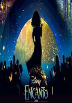 魔法满屋：好莱坞露天剧场演唱会