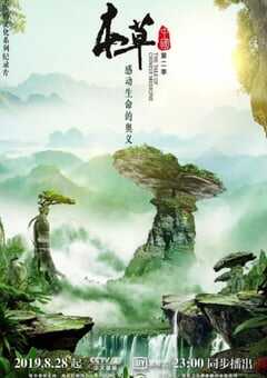 本草中国 第二季