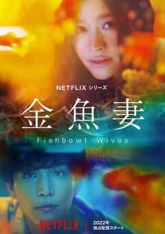 金鱼妻