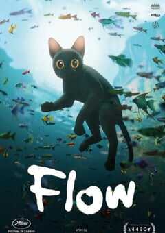 猫猫的奇幻漂流